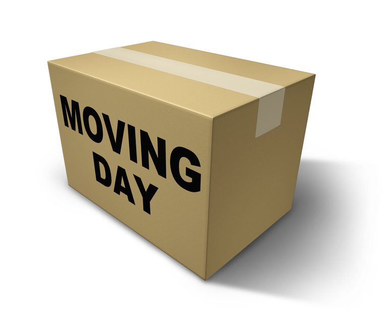 Cardboard box labeled "moving day" on a white background.
